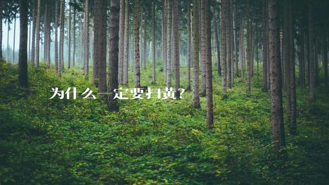 为什么一定要扫黄？