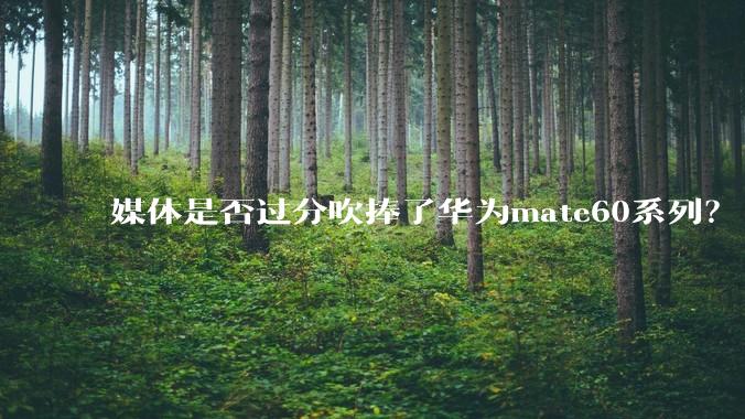 媒体是否过分吹捧了华为mate60系列？