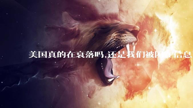 美国真的在衰落吗,还是我们被困在信息茧房?