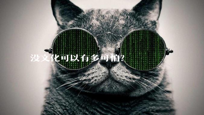 没文化可以有多可怕？