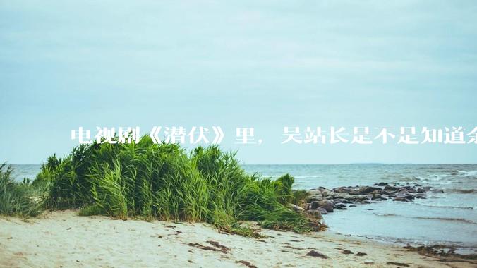 电视剧《潜伏》里，吴站长是不是知道余则成的真实身份？