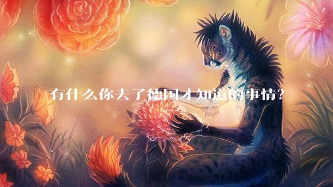 有什么你去了德国才知道的事情？