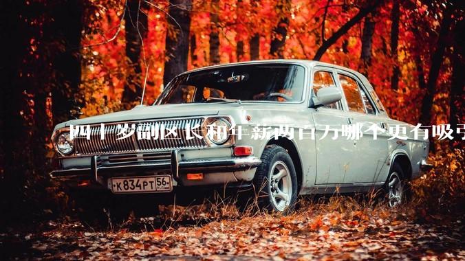 四十岁副区长和年薪两百万哪个更有吸引力？