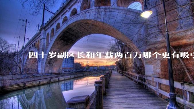 四十岁副区长和年薪两百万哪个更有吸引力？